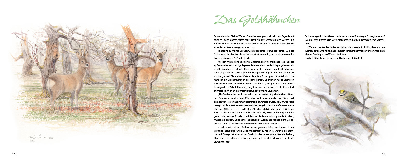 Apfel-Land-Klaus-Runge-42-43