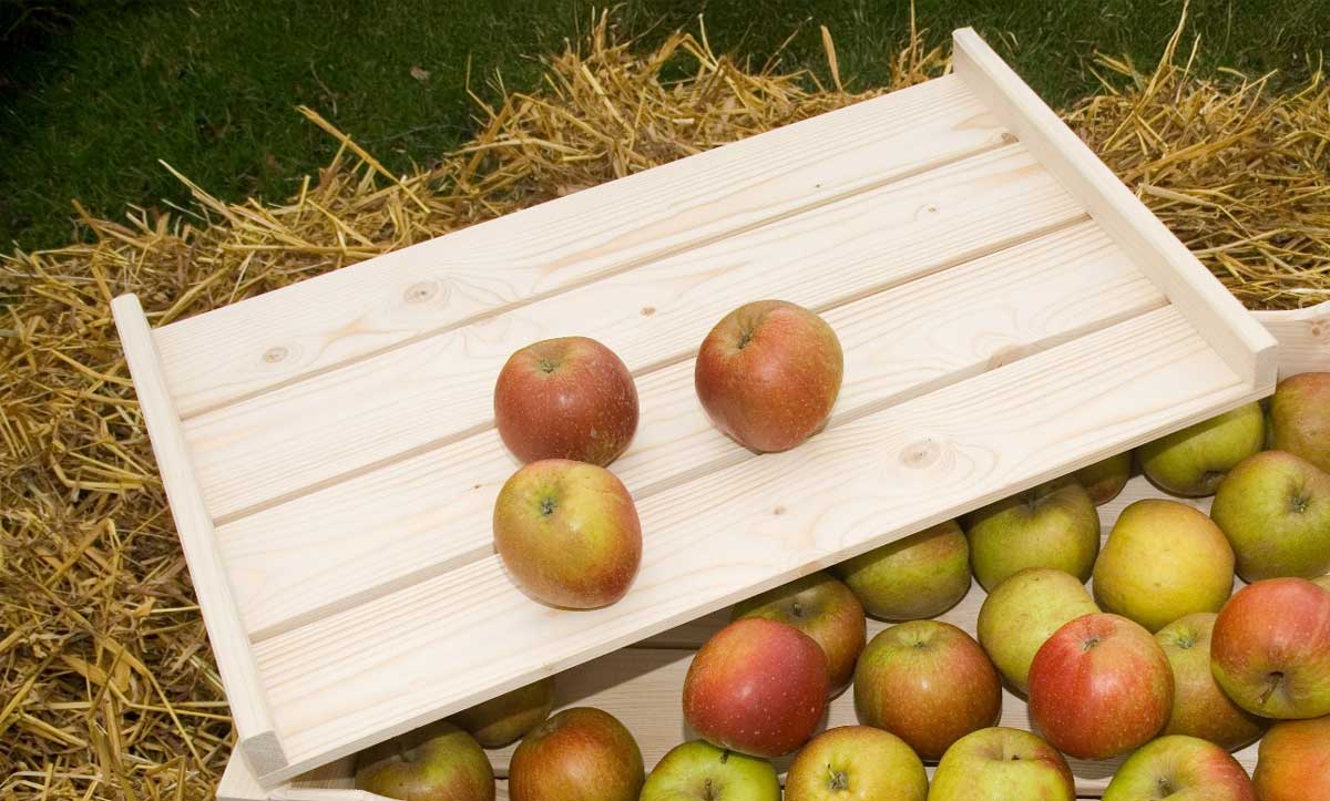 Apfelstiege - Deckel für Holzkiste 