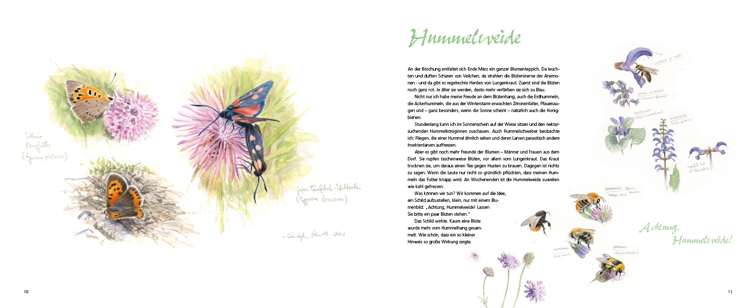 Apfel-Land-Klaus-Runge-10-11