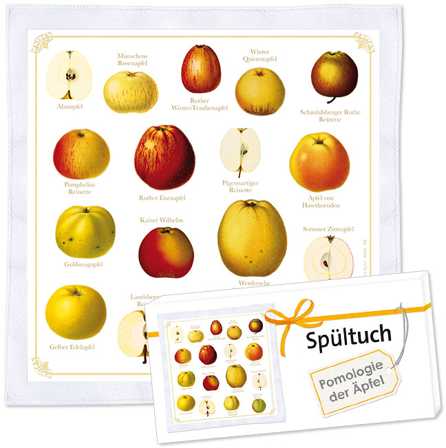 Spueltuch_Pomologie_der_Aepfel-mit-Geschenkverpackung