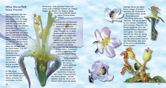 Seiten-20-21-aus-Apfeljahr