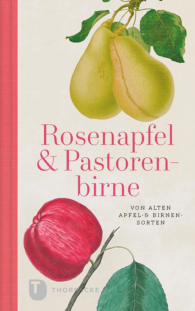 Rosenapfel und Pastorenbirne - alte Apfel- & Birnensorten