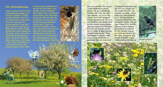 Seiten-36-37-aus-Apfeljahr