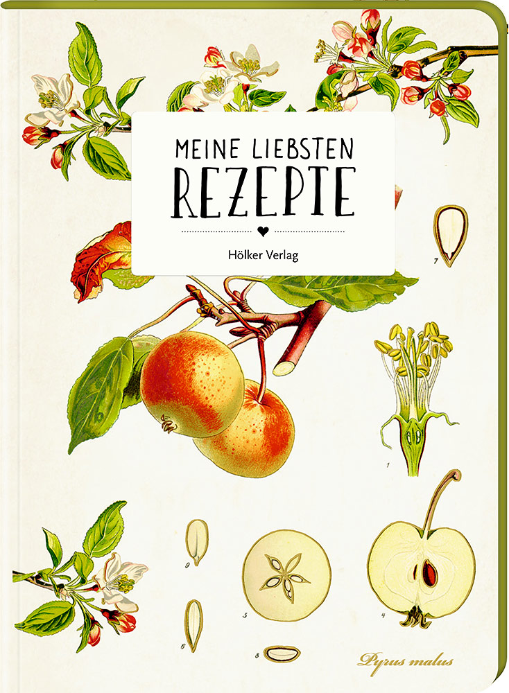 Meine liebsten Rezepte ‐ Einschreibbuch - Apfel