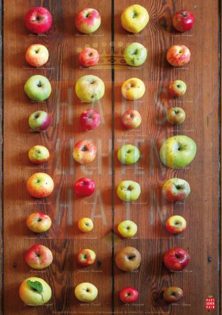 Apfel-Poster Haus Lichtenhain